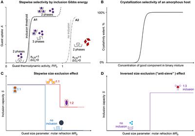 Smart Molecular Recognition: From Key-to-Lock Principle to Memory-Based Selectivity